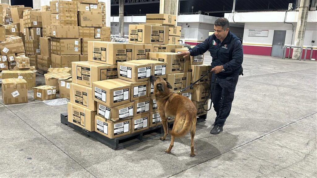 Imagen del artículo